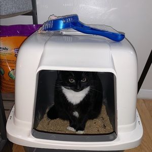 Meet your Posher, Dawson